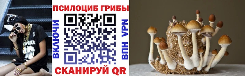 дарнет шоп Кирс Галлюциногенные грибы прущие грибы